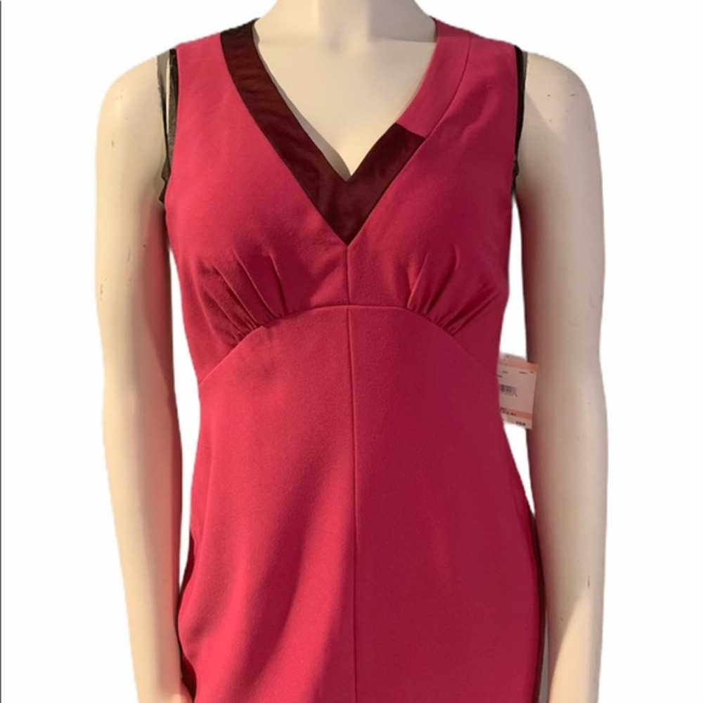 Anne Klein Pink‎ Sleeveless V-Neckline Ruche Detail Dress Size M